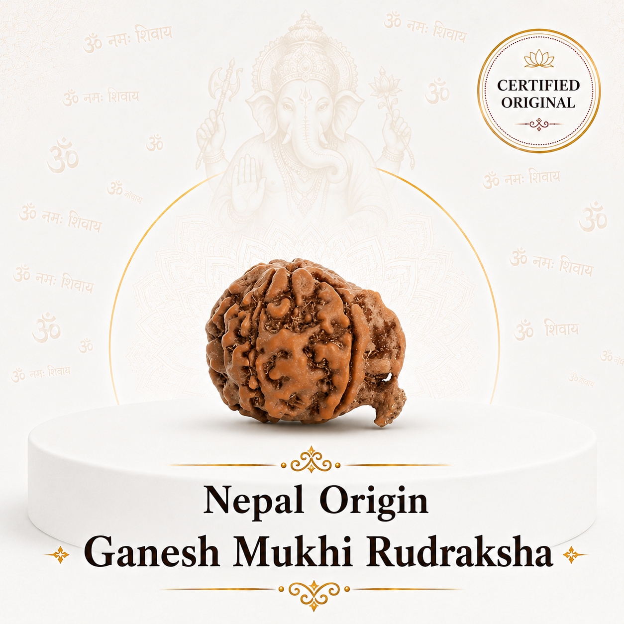Ganesh Mukhi (Nepal Origin)